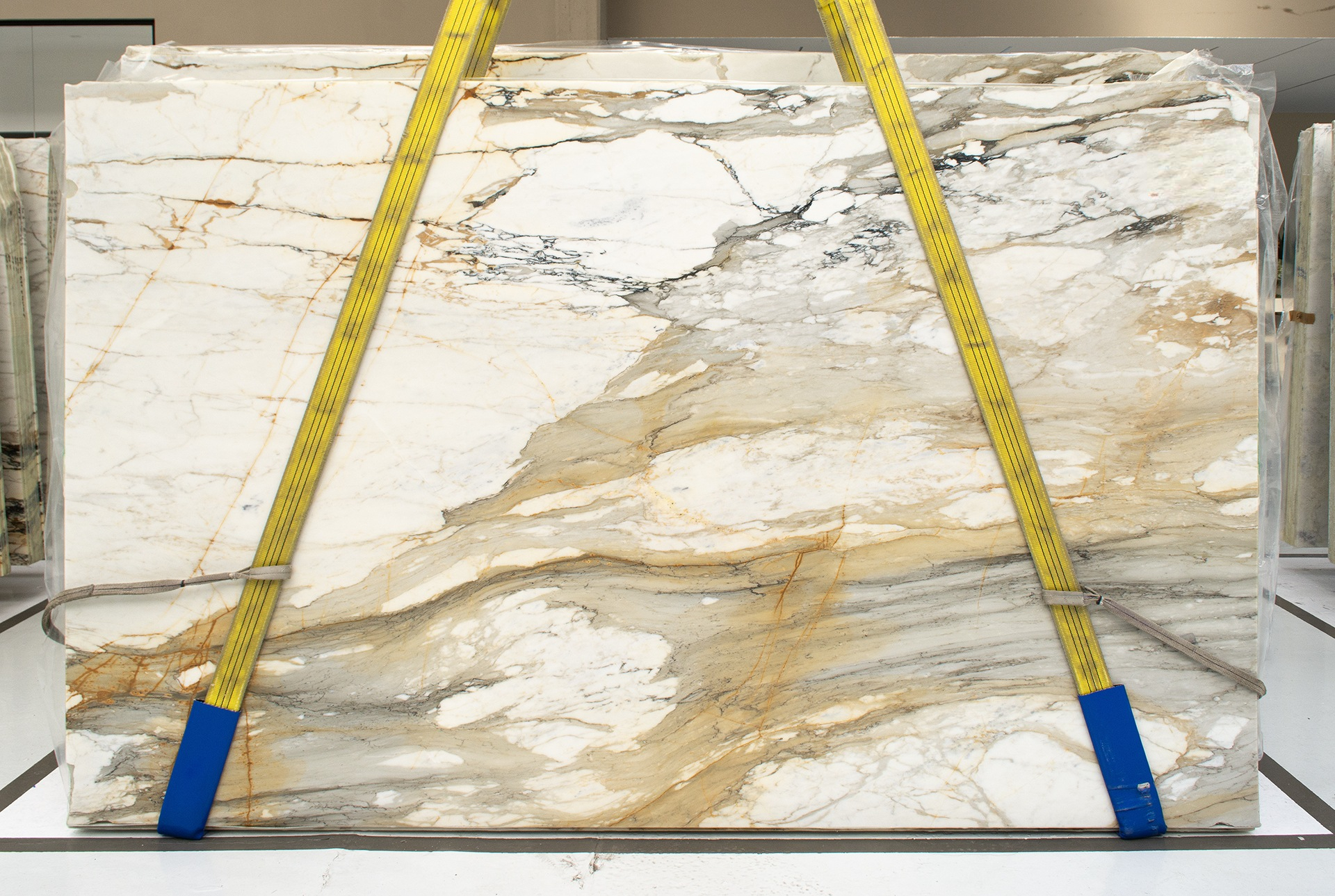 CALACATTA MACCHIA VECCHIA MARBLE HONED SLABS (AC138971)