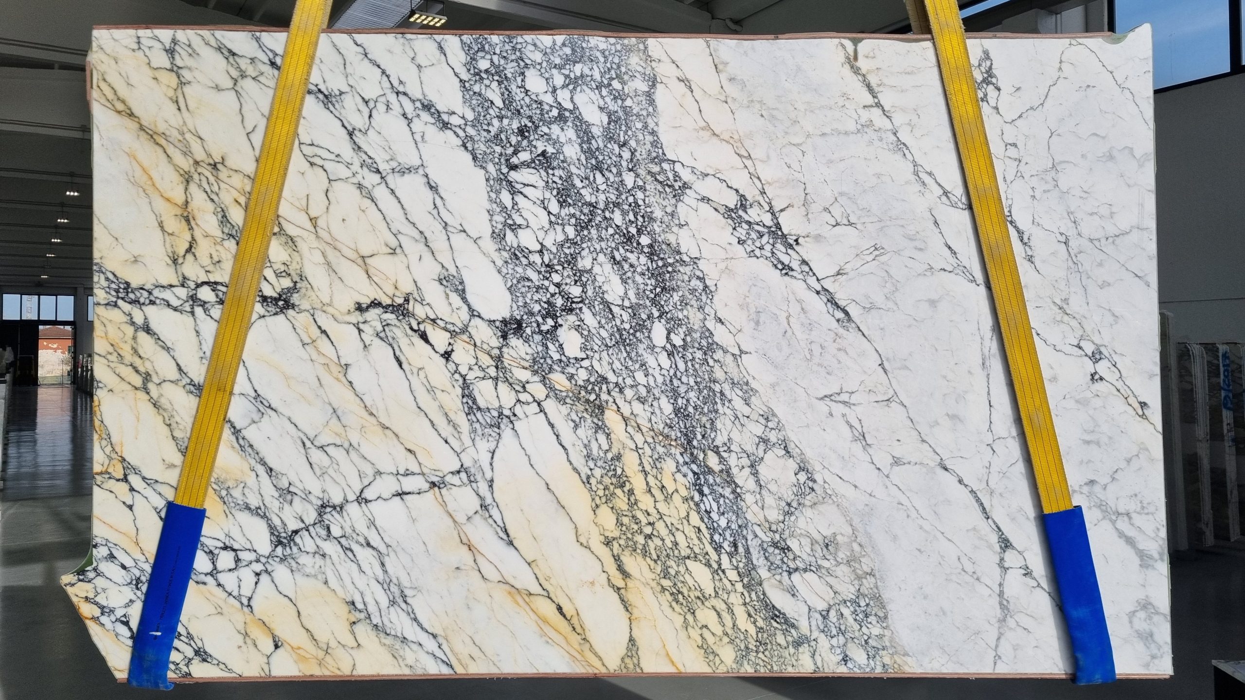 Paonazzo Marble Polished Slabs (AC206292)
