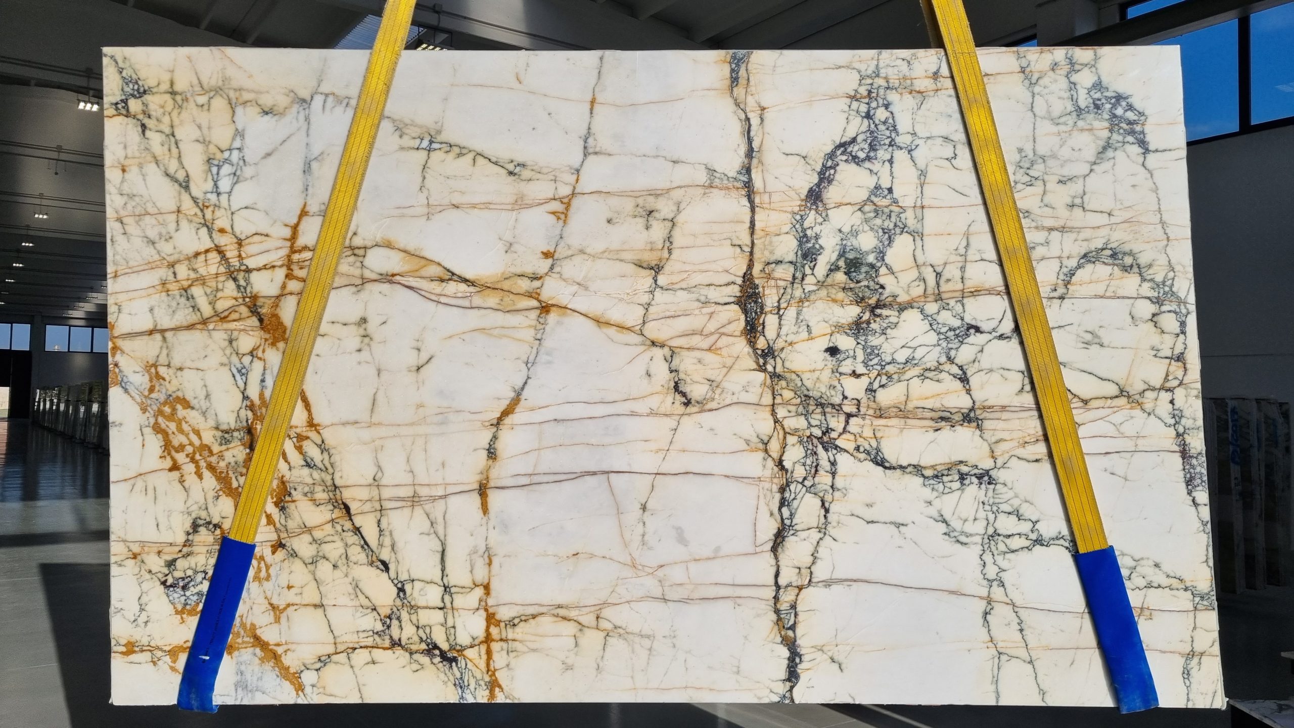 Paonazzo Marble Polished Slabs (AC209214)