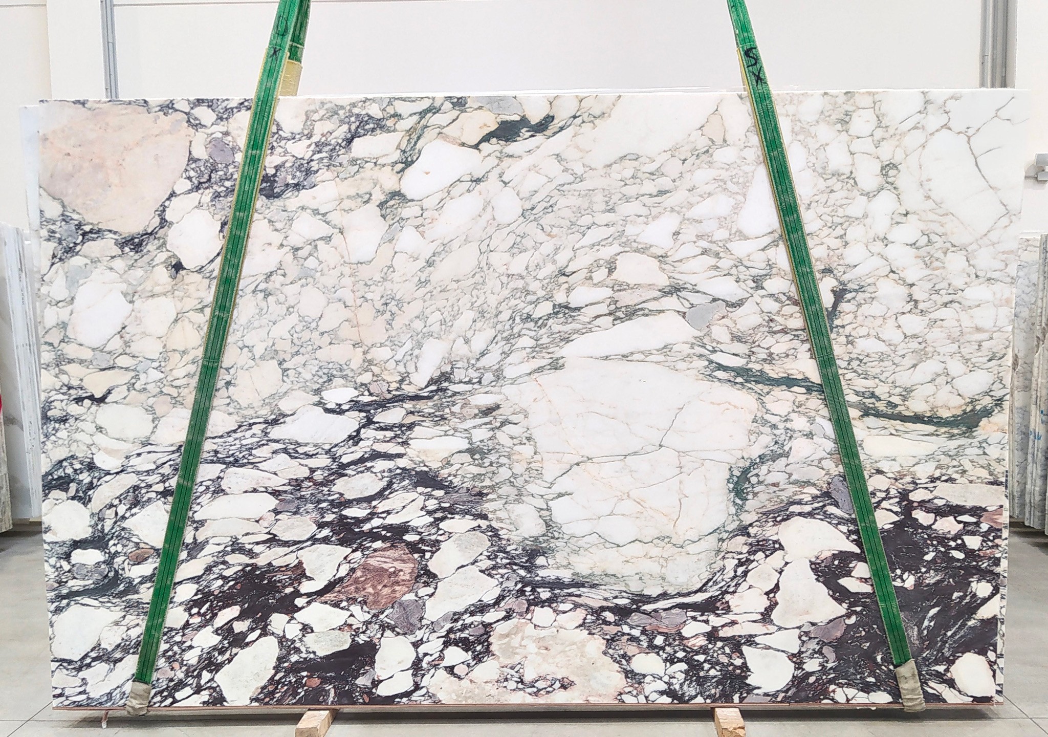 CALACATTA VIOLA MARBLE HONED SLABS (AC1353)
